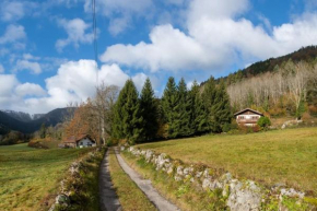 L'Orée des Étoiles dans la Vallée de Munster Stosswihr